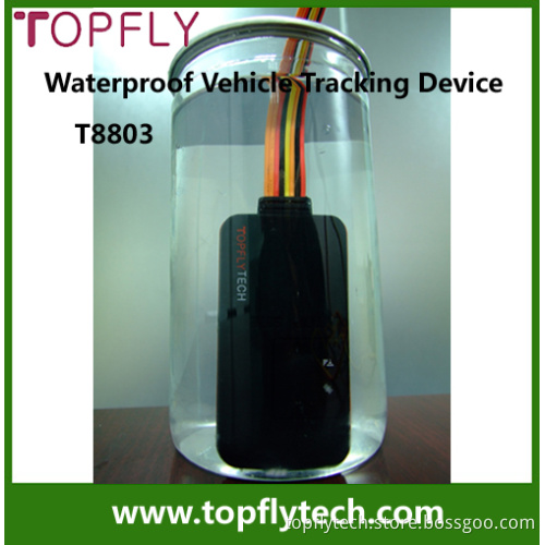 Vehicle GPS Tracker with Tracking System (T8803)